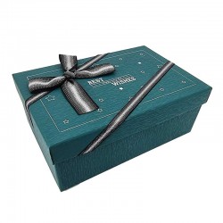 Boîte cadeaux vert sapin motif étoiles avec nœud ruban 23x16x9cm