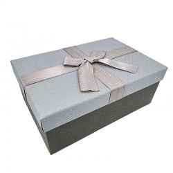 Boîte cadeaux gris acier et gris perle avec nœud ruban satiné 23x16x9cm