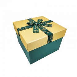 Coffret cadeaux de Noël vert sapin et doré 21x21x16cm