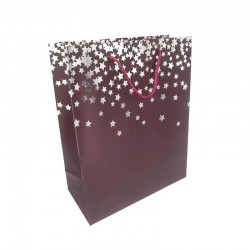 12 sacs cadeaux luxe rouge bordeaux à motif d'étoiles argentées 26x12x32cm