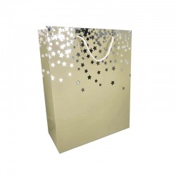 12 petits sacs papier luxe vert amande à motif d'étoiles argentées 18x10x23cm
