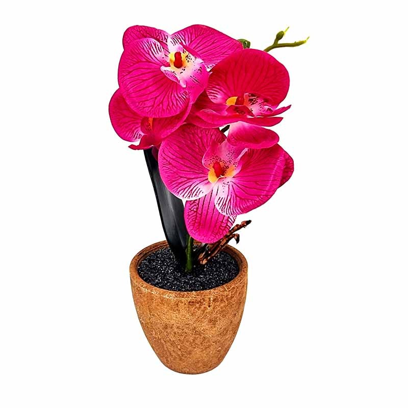 Orchidées artificielles fuchsia 35cm - Cdiscount Maison