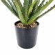 Aloe vera artificielle avec pot en plastique noir