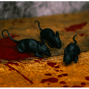 Lot de 3 rats noirs de décoration d'halloween