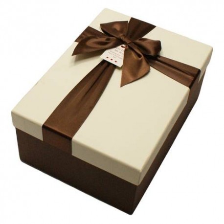 Boîte cadeaux de couleur marron et écru avec noeud cadeaux 20x13.5x8cm - 5819m