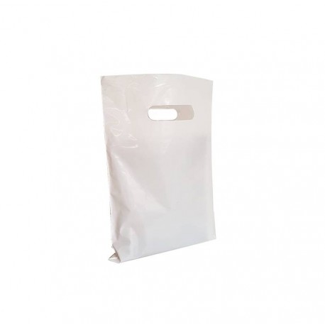25 sachets plastique réutlisables blanc 22x30cm - 6270