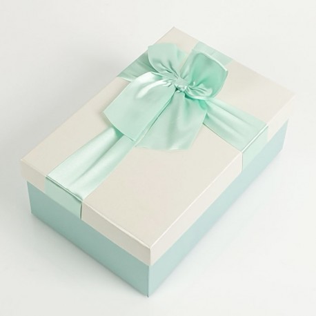 Boîte cadeaux bleu givré et écru avec noeud ruban 22x15x9cm - 7731g
