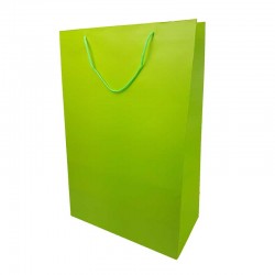 Lot de 6 sacs cadeaux vert anis grande taille 40x20x60cm - 12046