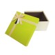 Coffret cadeaux de couleur écru et vert grany 20.5x20.5x10.5cm - 11105m