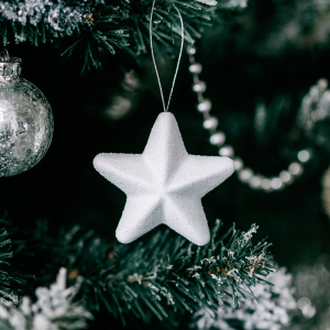 Lot de 6 étoiles blanches à paillettes à suspendre pour décoration sapin de noël