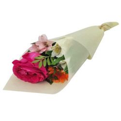 Papel de embalaje para flores, 20 hojas de 58 x 58 cm - amarillo vainilla