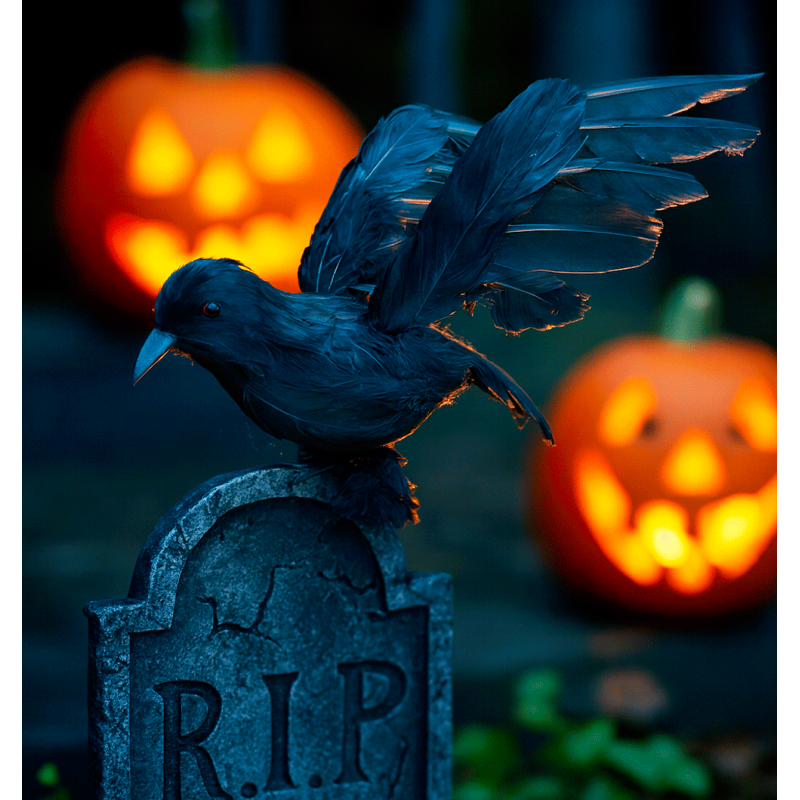 Cuervo negro con las alas desplegadas, decoración de halloween