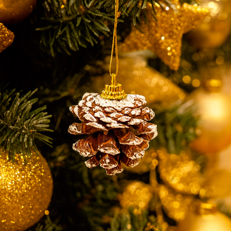 6 piñas pequeñas de 3 cm para la decoración del árbol de navidad