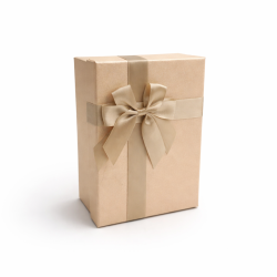 Caja de regalo grande color melocotón iridiscente y lazo de raso dorado - 23 x 16 x 9 cm