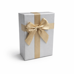 Caja de regalo pequeña gris perla iridiscente y lazo de raso dorado - 19 x 12 x 7 cm