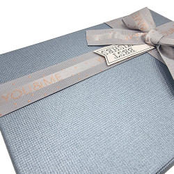Petite boîte cadeaux bicolore couvercle irisé 12x19x7cm - Argenté