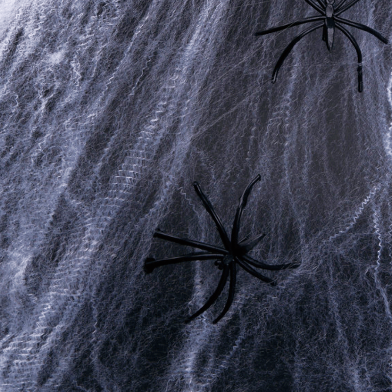 2 toiles d'araignée blanche pour décoration Halloween
