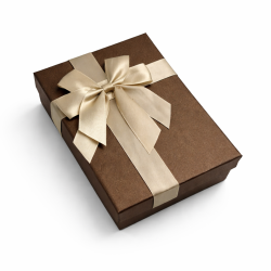 Grande boîte cadeaux chocolat irisé & Nœud satin doré - 23 x 16 x 9 cm