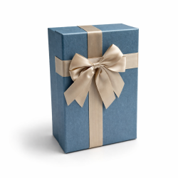 Grande boîte cadeaux bleu givré irisé & Nœud satin doré - 23 x 16 x 9 cm