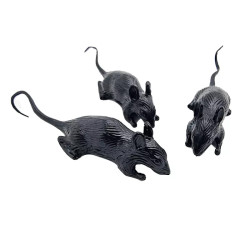 Pack "Vitrine Hantée" - 9 pièces pour décorer votre vitrine, -40 %