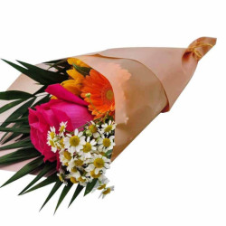 Carta da imballaggio per fiori 20 fogli 58x58 cm - marrone chiaro