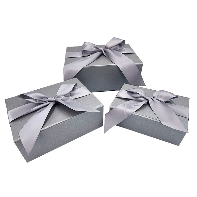 Grande scatola regalo argentata con coperchio magnetico in cartone rigido