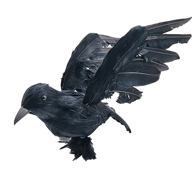 Corvo nero con ali spiegate, corvo nero molto realistico per Halloween