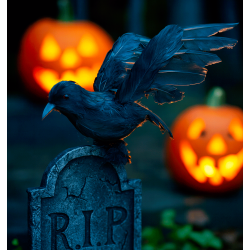 Corvo nero con le ali spiegate, decorazione di Halloween