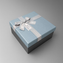 Piccola scatola regalo quadrata bicolore con coperchio iridescente 15x15x7 cm - Argento