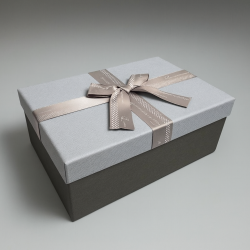 Scatola regalo grigio acciaio e grigio perla con fiocco in nastro satinato 23x16x9 cm