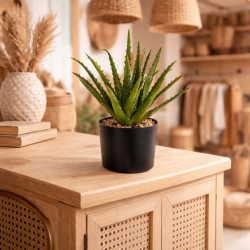Aloe vera artificiale con vaso in plastica nera