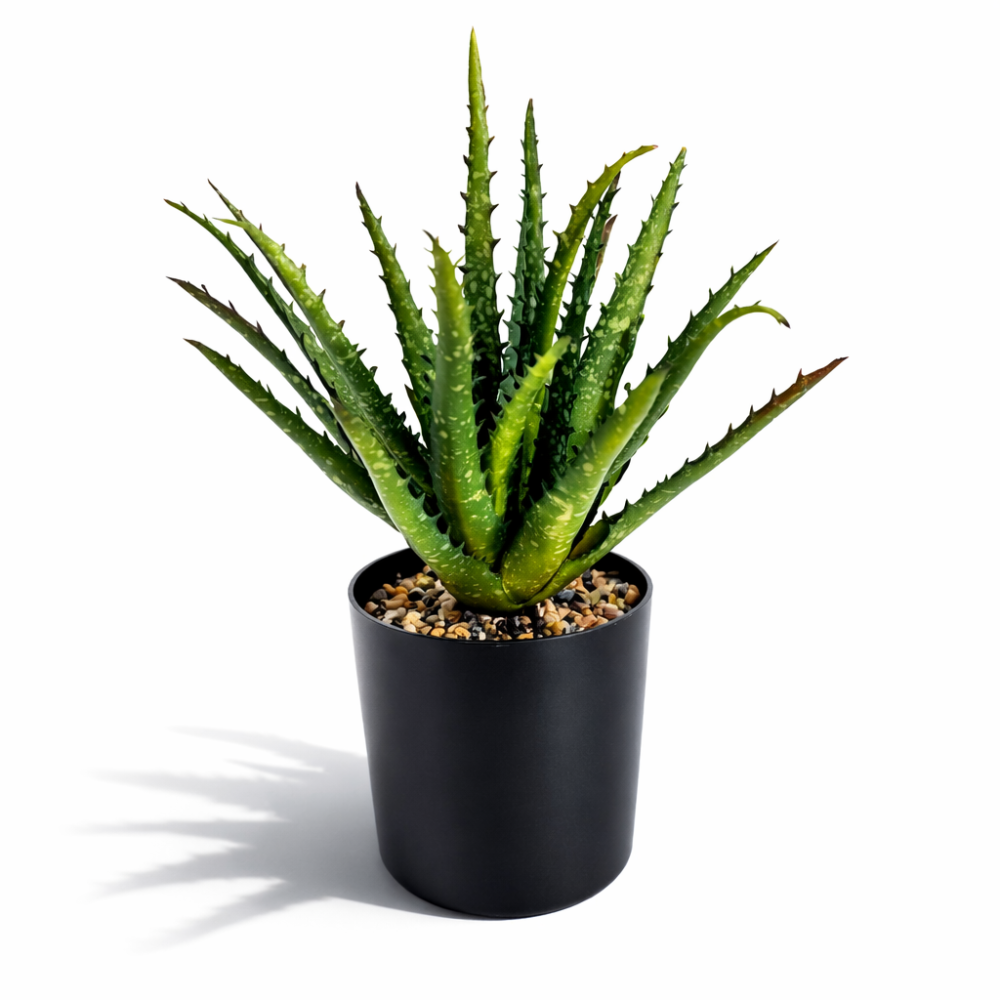 Pianta artificiale realistica di Aloe vera con vaso in plastica nera.